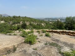 -白水寺森林公园