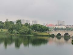 -眉山湿地公园(东坡区)