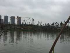 -枫香湖儿童公园