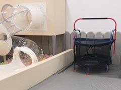 -龙格亲子游泳·水育早教运动中心(龙湾天街店)
