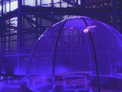 -异次元·LIGHT HOUSE·美食酒廊·休闲露台