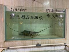 -海盗餐厅