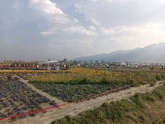 -大理洱海