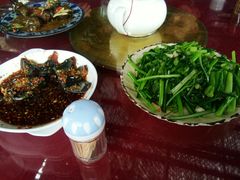 -生态苑农庄(十里画廊遇龙河店)