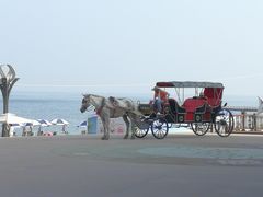 马车-南戴河国际娱乐中心