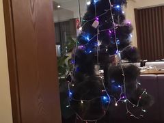 -陆壹捌餐厅(五大道店)