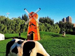 -长白岛森林公园