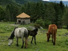 -硗碛藏寨·神木垒景区