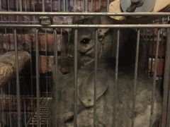 -EGO原创机械密室逃脱(朝阳大悦城2店)