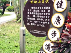 -垂虹公园