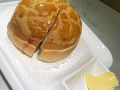 -南枝记