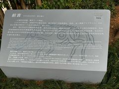 -河姆渡遗址博物馆