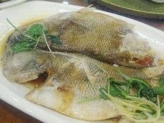 -东北农家小院(定西路店)