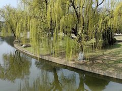 -苏州上方山国家森林公园