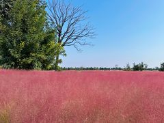 -汉长安城未央宫国家考古遗址公园