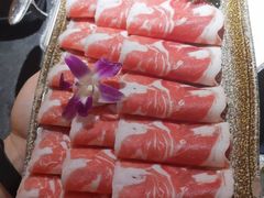嫩肩小羔羊-新草堂锅物料理(泉城路店)