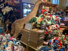 -国家自然博物馆