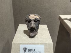 -烟台市博物馆