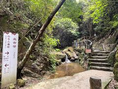 -南丹山森林王国