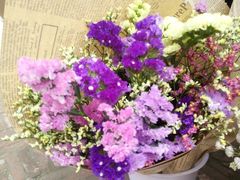 -三圣花乡旅游区