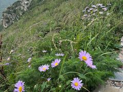 -灵山