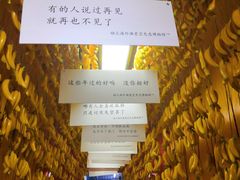 -上海外滩星空失恋减压馆(外滩旗舰馆)