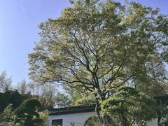 -上海醉白池公园