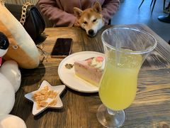 -柴源莊·柴小宠柴犬咖啡