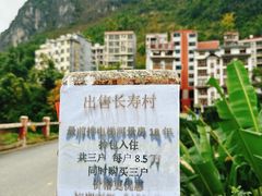 -长寿村