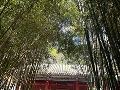 -潭柘寺景区