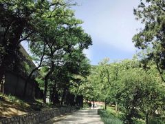 -北京西山国家森林公园
