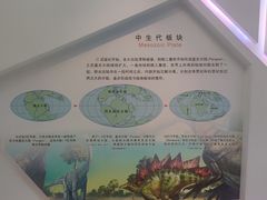 -安徽省地质博物馆