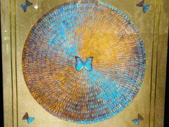 -上海昆虫博物馆