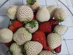 -匠和风精致料理(祥禾天地店)