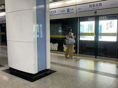 -陆家浜路(地铁站)