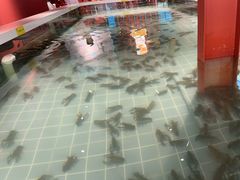 -虾胡闹龙虾馆(湄南河店)