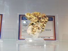 -中国地质大学逸夫博物馆