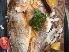 -龟兹KUCINA·新疆菜(前滩L+PLAZA店)