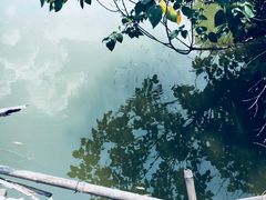 -马陆小张葡萄园农家乐