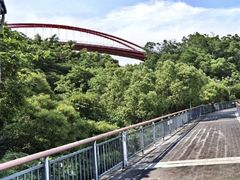 -金鸡山公园