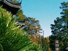 -东湖落雁景区