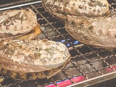 活烤澳鲍-白仁仔· 活烤海鲜 宵夜(豫园店)