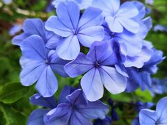 -福田红树林生态公园