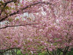 -苏州河梦清园环保主题公园