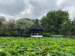 -上海醉白池公园