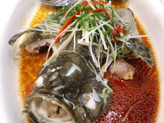 清蒸小龙趸-顺德渔村·岭南一号