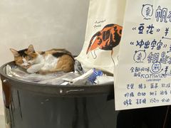 -玫瑰咖啡(中山六路店)