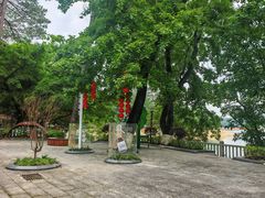 -广州市流溪河国家森林公园