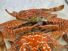 -众味海鲜大排档·活海鲜·潮汕味(南澳店)