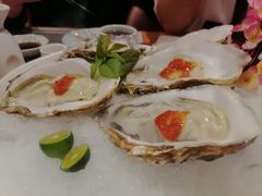-鮨桐日本料理(望京店)